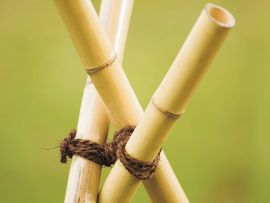 mit Kokos-Baumanbinder verbundene Bambusstäbe